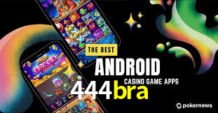444bra App Interface